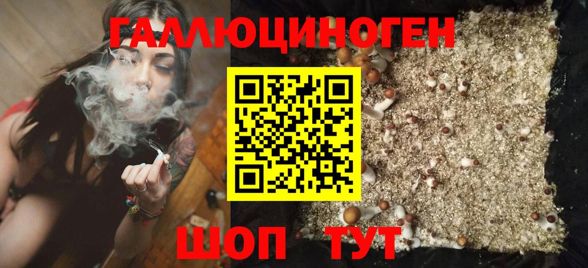 Псилоцибиновые грибы ЛСД  хочу наркоту  Вход с VPN  Электросталь  Галлюциногенные грибы Cubensis 