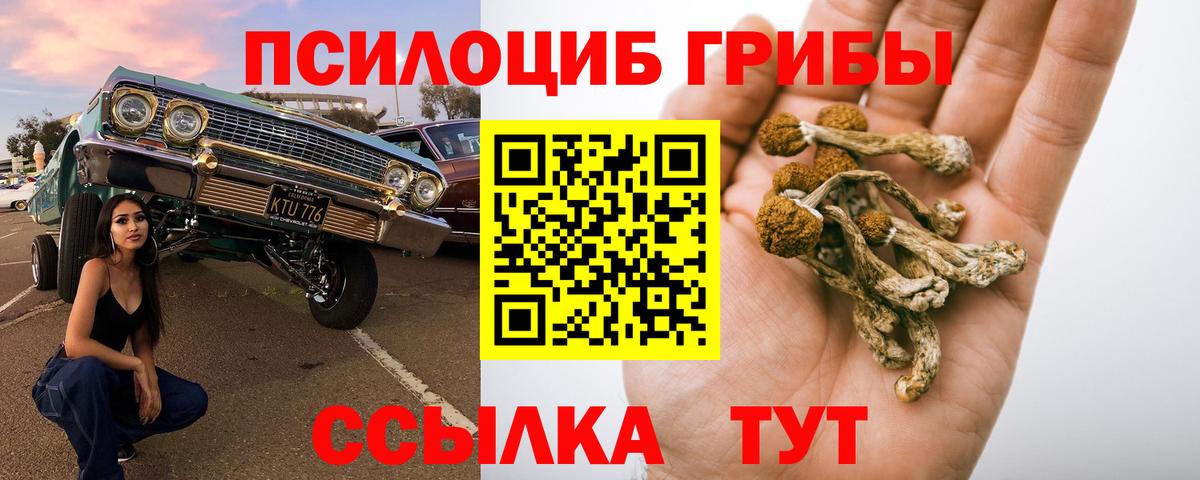 Галлюциногенные грибы мухоморы Электросталь
